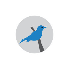 Bird logo design free vector illustration