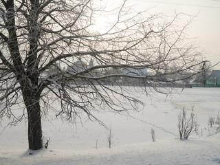 Snow-covered rural landscape.