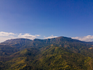 the aerial view of the mountain peak and the cliffs near the green forest