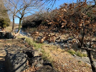 原尻の滝からの緒方川