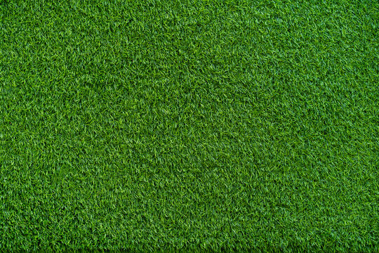 Green grass soccer field for background.