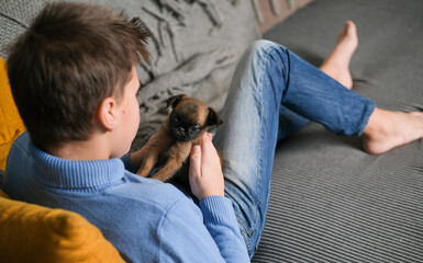 Boy playing with baby dog. Kid play with puppy at home. Little boy and griffon or brabanson dog on...