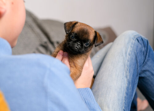 Boy playing with baby dog. Kid play with puppy at home. Little boy and griffon or brabanson dog on sofa. Children and pets at home. Kid sitting on the floor with pet. Animal care.