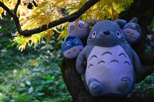 Large Plush Totoro Creature From Cult Anime Movie My Neighbor Totoro By Hayao Miyazaki And Studio Ghibli, Sitting On Branch Of Autumn Palmate Maple Tree (acer Palmatum) With Three Small Plush Totoros