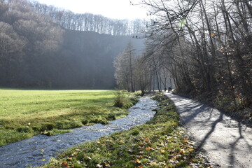 Dolina Prądnika, Przyroda, Ojcowski Park Narodowy,