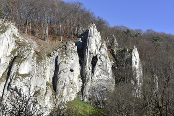 Dolina Prądnika, Przyroda, Ojcowski Park Narodowy, © Albin Marciniak