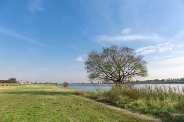 多摩川（調布市多摩川・川崎市多摩区）