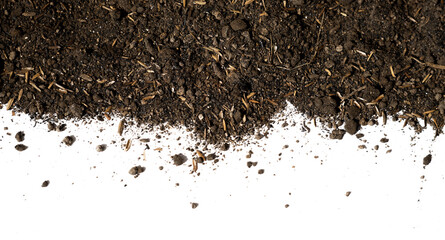 humus soil isolated
