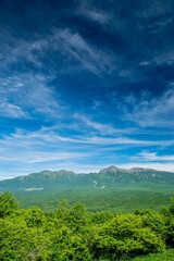 Fototapeta na wymiar 平沢峠（長野県南牧村）から見た八ヶ岳