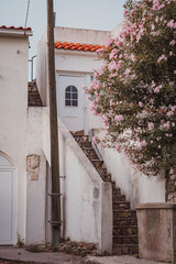 Eingang zum Haus mit bl&uuml;henden Busch an einem sch&ouml;nen Sommertag.