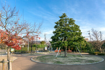 調布台タブノキ公園（東京都調布市小島町３丁目）