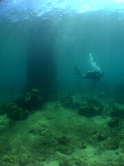 Fototapeta na wymiar a diver in the crystal clear waters of the caribbean sea