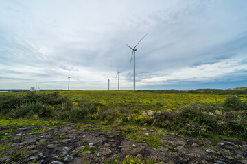 Windturbines at Neeltje Jans island, The Netherlands