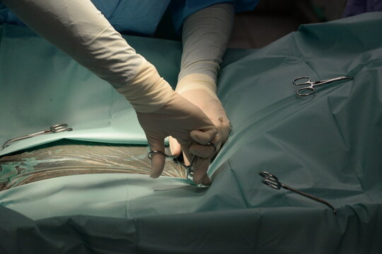 Kolik Operation beim Pferd, Details