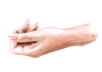 Woman hand. Hand drawn watercolor illustration,  isolated on white background