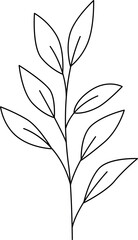 Leaves and flowers line art Contemporary floral design