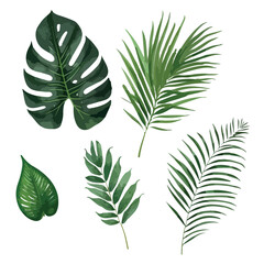 Fototapeta na wymiar Tropical leaves vector isolated on white background. Hand drawn leaves illustration in watercolor vector set