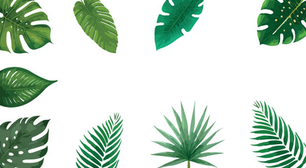 Tropical leaves vector isolated on white background