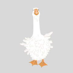 Cute Sebastopol goose. Cartoon vector illustration isolated on grey background. - obrazy, fototapety, plakaty
