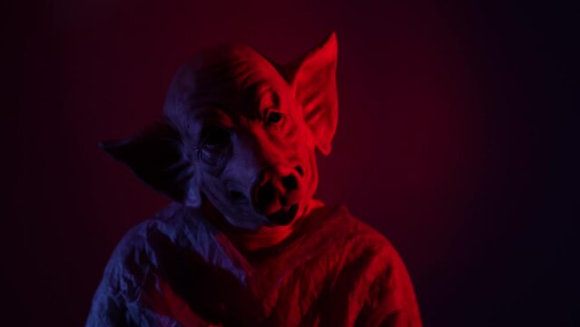smoke comes from scary man with pig mask horror concept