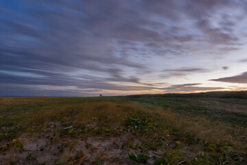 sunset over the field