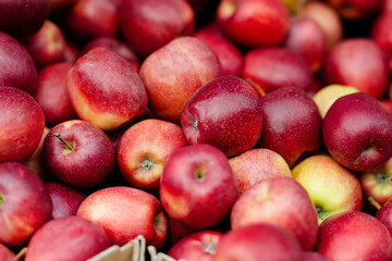 Fresh red and yellow apples in wooden crates sold on farmers food market in Vilnius, Lithuania