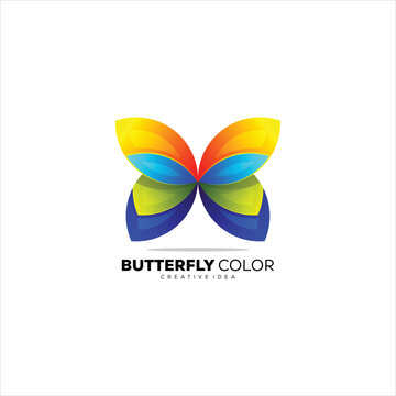 Butterfly design logo template colorful