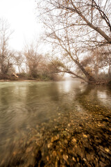 Orilla de río con árboles y niebla de otoño