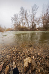Orilla de río con árboles y niebla de otoño