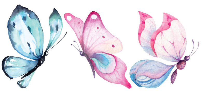 Butterfly painted with watercolors.Insect pollination.