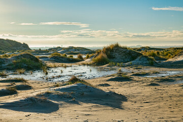 nature area de hors on the south part of the island texel