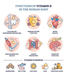 Functions of vitamin D in human body and immune system sources in food outline diagram. Labeled educational scheme with health benefits from eating ingredients and sun light vector illustration.