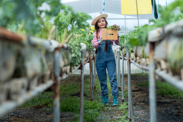 person working in a greenhouse