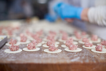 Meat raw dumplings cooking. Close up.Pelmeni on tray.