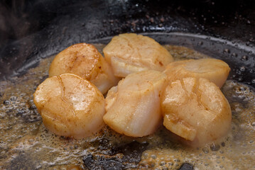 Scallops sauteed in butter, cooking in frying pan