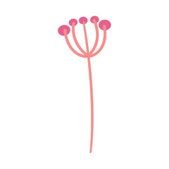 pink berries branch