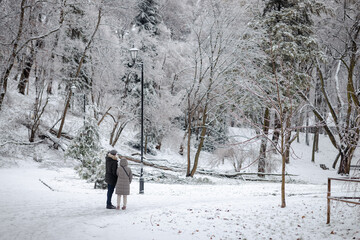 A couple looking at fallen tree in the park after the ice storm