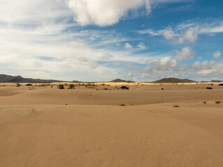 Fototapeta na wymiar Dunes of Corralejo on the island of Fuerteventura