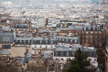 Fototapeta premium rooftops of paris