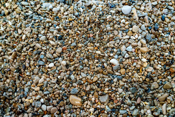 Sea stones background. Flat lay texture of sea stones.