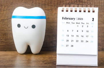 The February 2023 Monthly desk calendar for 2023 year with Model tooth on wooden table.