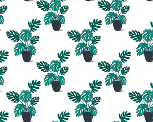 Seamless pattern with potted manstera.
Flat vector illustration