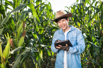 A female farmer take note of the corn growing information on the tablet.Corn field.Harvest in field in autumn.Food and Vegetable Production.Agricultural Land.Organic Farming.Corn field.Sweet corn.
