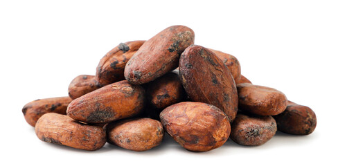 Heap of cocoa beans on a white background. Isolated - 558407796