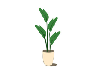 Houseplant in a pot isolated on a white background. Flat vector illustration
