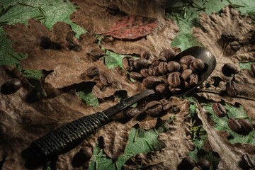 Still life on the kitchen table. Brown roasted beans on a dark green background