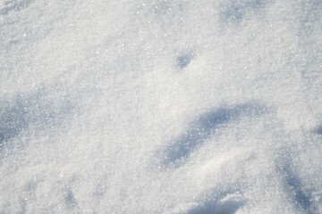추운 겨울 하얀 눈이 내린 풍경