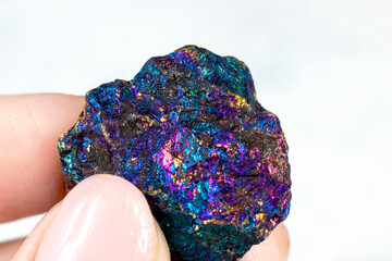 Woman hand holding shiny rainbow crystal Peacock ore or Bornite (Chalcopyrite) on light background close up. - 558409542