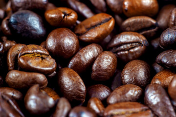 Dark brown roasted coffee beans as a texture close up.