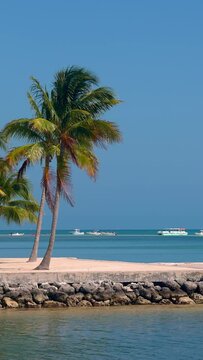 Wonderful Caribbean Beach - a paradise in the sun - travel photography